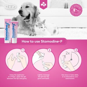 ICF | Stomodine F | Cat & Dog Toothpaste | Meat Flavour | Fights Plaque & Bad Breath | Healthy Dental Oral Hygiene | Easy to Use Teeth Cleaner for Pets