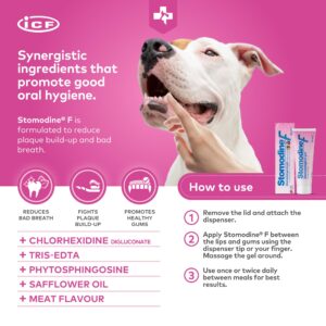 ICF | Stomodine F | Cat & Dog Toothpaste | Meat Flavour | Fights Plaque & Bad Breath | Healthy Dental Oral Hygiene | Easy to Use Teeth Cleaner for Pets