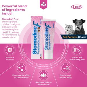 ICF | Stomodine F | Cat & Dog Toothpaste | Meat Flavour | Fights Plaque & Bad Breath | Healthy Dental Oral Hygiene | Easy to Use Teeth Cleaner for Pets