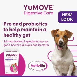 YuMOVE Digestive Care for All Dogs | Previously YuDIGEST | Probiotics for Dogs with Sensitive Digestion, All Ages and Breeds | 120 Tablets