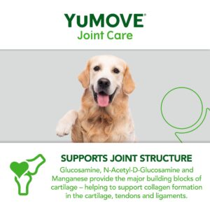 YuMOVE Senior Dog | High Strength Joint Supplement for Older, Stiff Dogs with Glucosamine, Chondroitin, Green Lipped Mussel | Aged 9+ | 120 Tablets,Package may vary