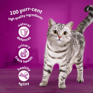 Whiskas 1+ Adult Poultry Selection in Jelly 40 Pouches, Adult Wet Cat Food, Megapack (40 x 85 g)